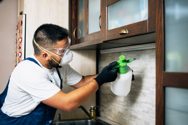 Best Wildlife Control Services  in New Town, ND
