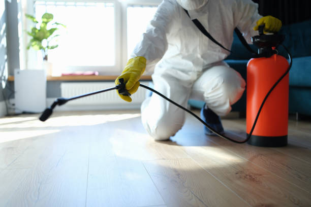 Wasp Removal Services in New Town, ND