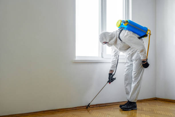 Best Pest Inspection Near Me  in New Town, ND