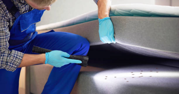 Best Exterminator Services  in New Town, ND