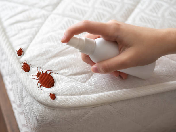 Best Best Pest Control Companies  in New Town, ND