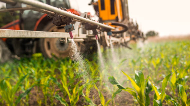 Best Commercial Pest Control Services  in New Town, ND